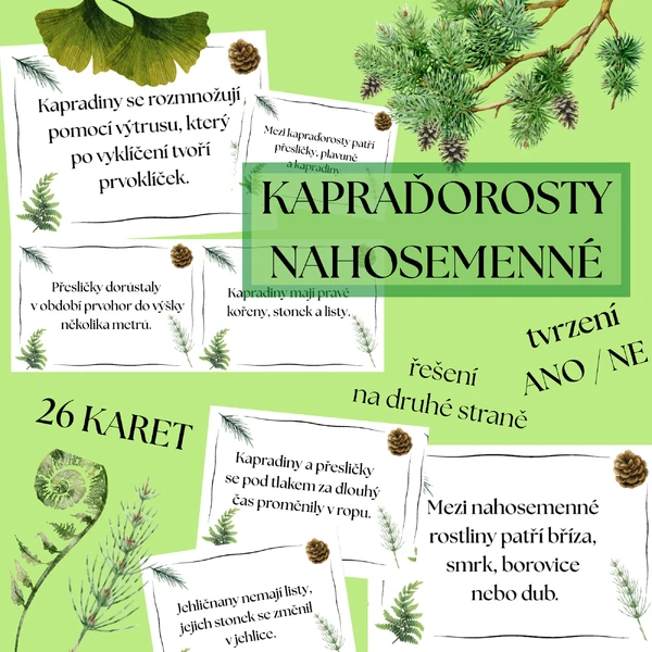 Tvrzení - kapraďorosty, nahosemenné rostliny (karty ANO / NE, řešení na druhé straně)