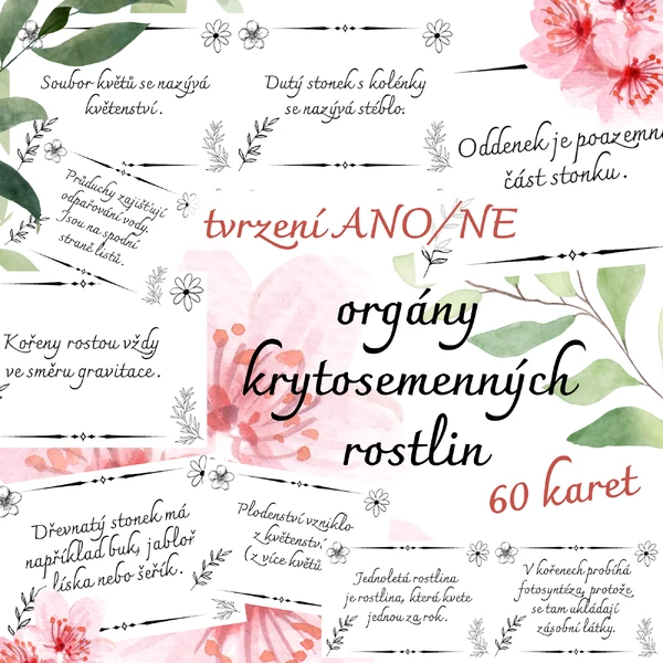 ORGÁNY ROSTLIN (kořen, stonek, list, květ, plod) - 60 karet tvrzení ANO / NE