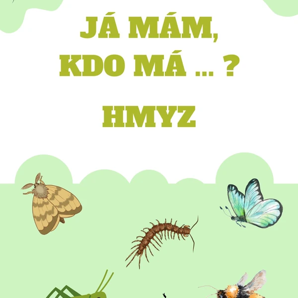 Já mám, kdo má ...? Hmyz