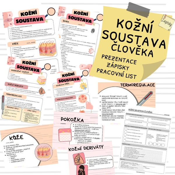Kožní soustava člověka