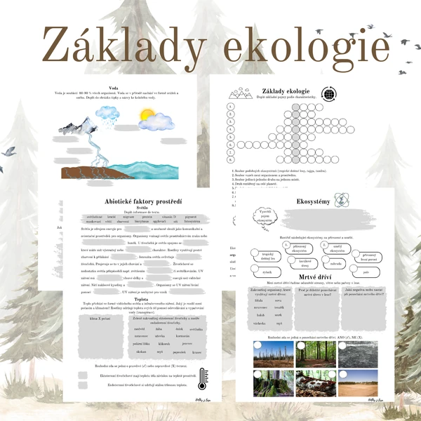 Základy ekologie