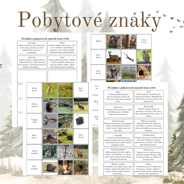Tripexeso: Pobytové znaky