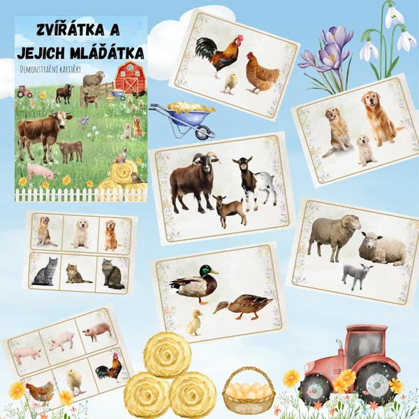🐱🐷Zvířátka a jejich mláďátka 🐶🐮