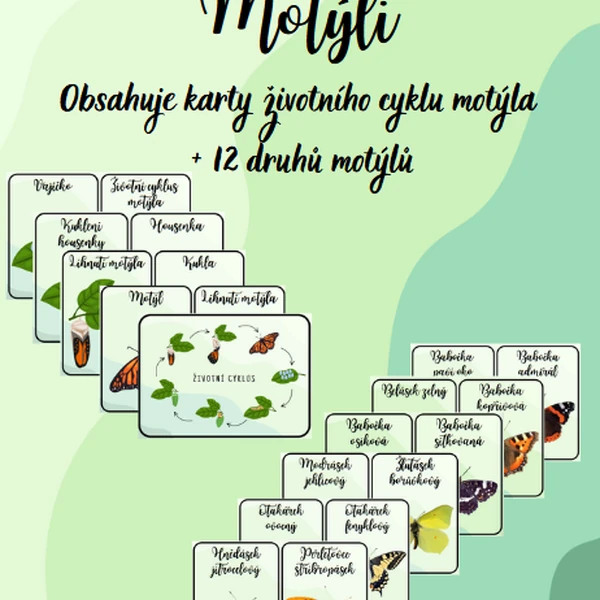 Demonstrační karty motýli