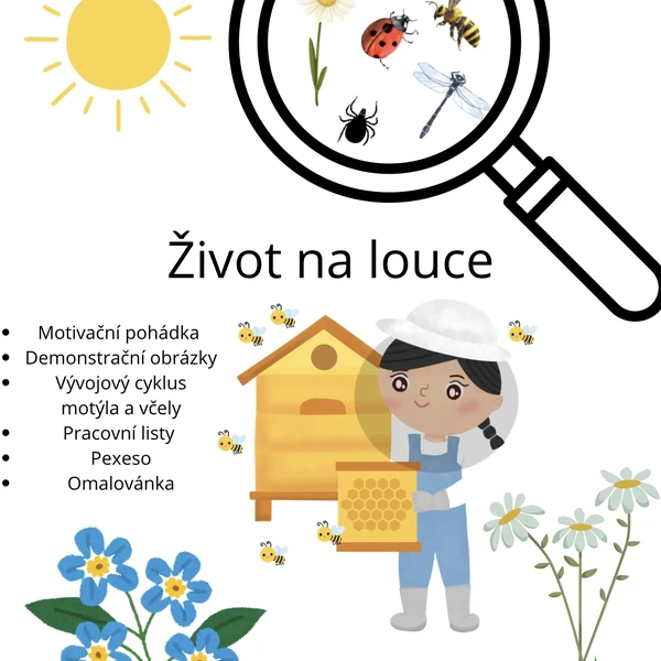 Život na louce - aktivity 🐝🦋
