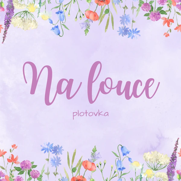 Na louce - plotovka