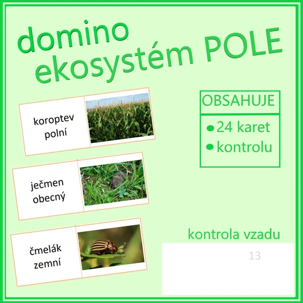 Domino – ekosystém POLE 