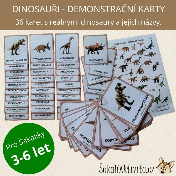  Dinosauři - demonstrační karty 