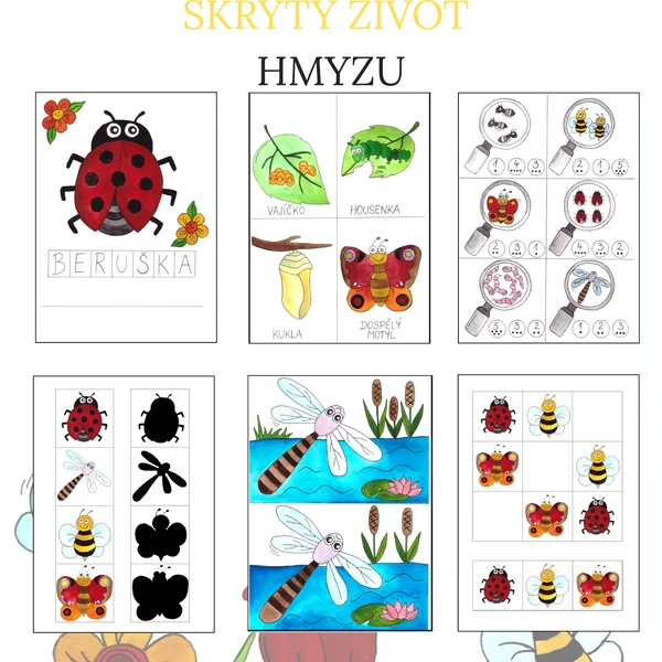 SKRYTÝ ŽIVOT HMYZU