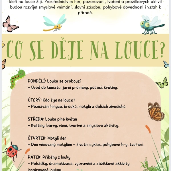 Jarní louka - brouci, květiny, jaro