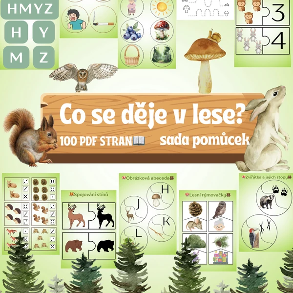 🐻🍂 Sada: Co se děje v lese?🌲✨