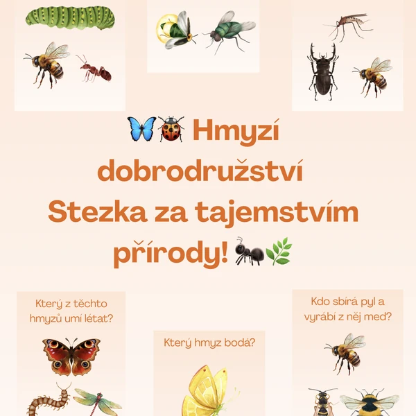 🦋🐞 Hmyzí dobrodružství – Stezka za tajemstvím přírody! 🐜🌿 