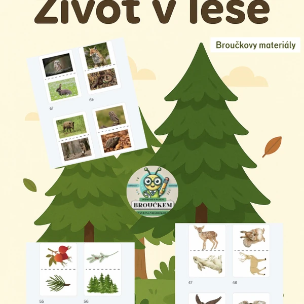 Didaktické karty - život v lese