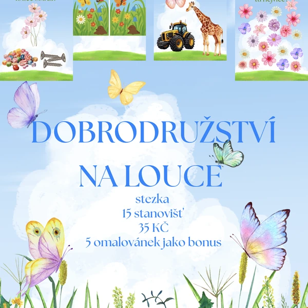 🌸 DOBRODRUŽSTVÍ NA LOUCE – výuková a zábavná aktivita pro MŠ 🐞