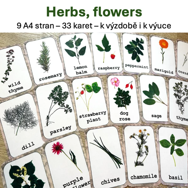 Herbs, flowers - demonstration cards