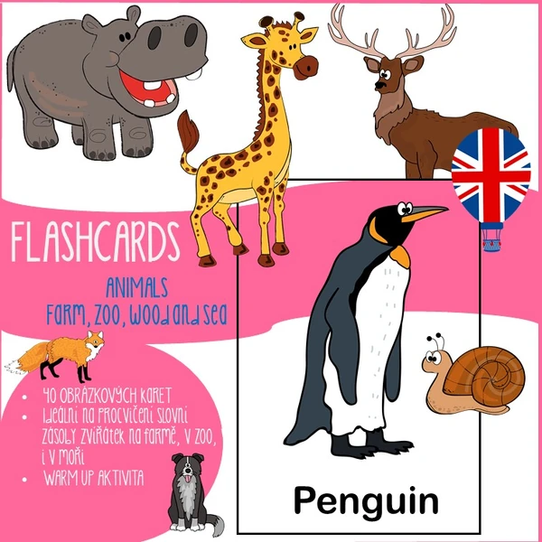 FLASHCARDS - animals