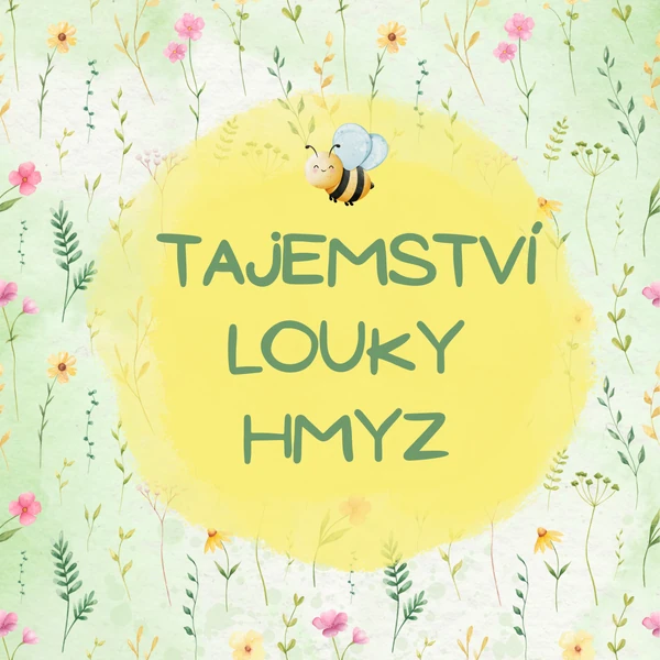 Tajemství louky - hmyz