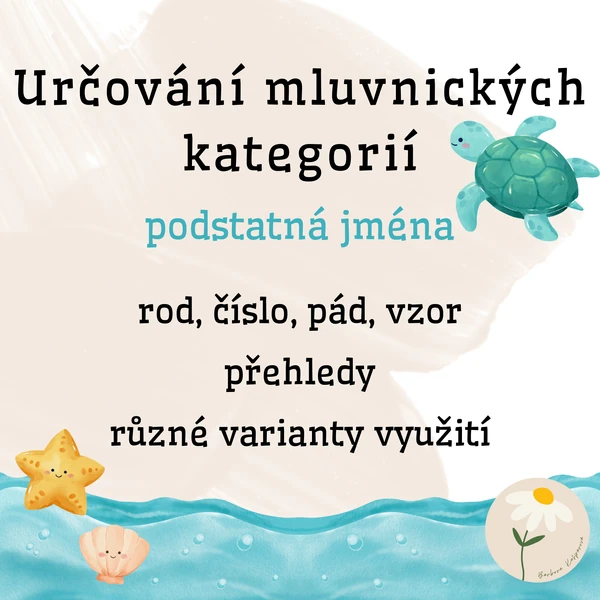 Určování mluvnických kategorií u podstatných jmen