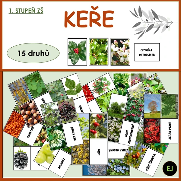 Keře