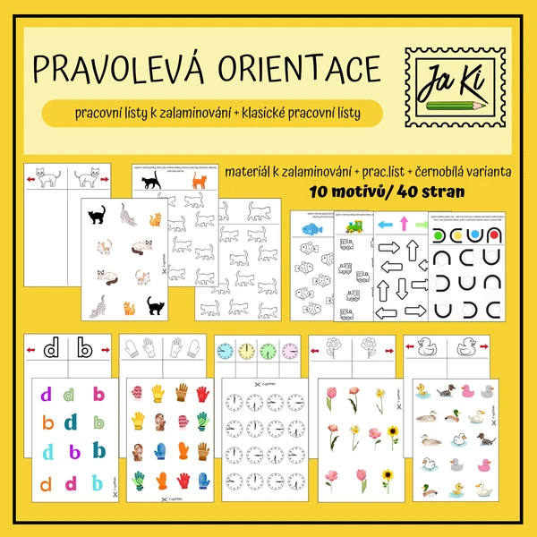 Pravolevá orientace