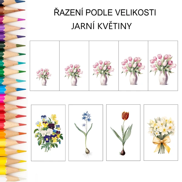 Řazení podle velikosti JARNÍ KVĚTINY
