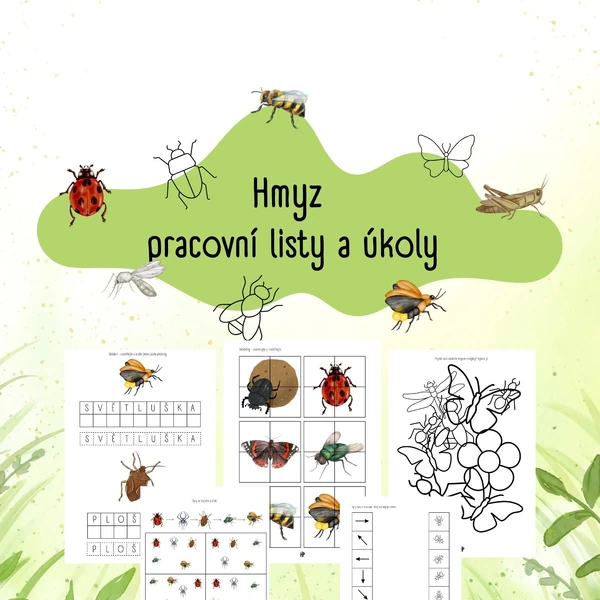 Hmyz - pracovní listy a úkoly
