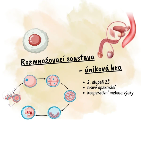 Rozmnožovací soustava - úniková hra