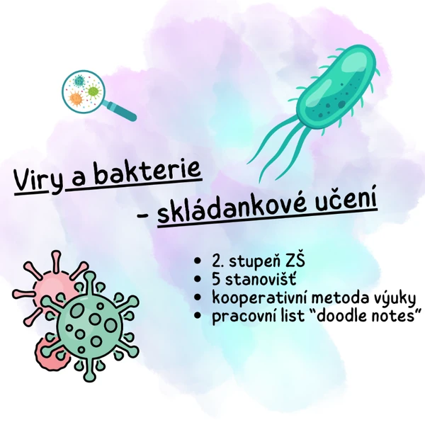 Viry a bakterie - skládankové učení