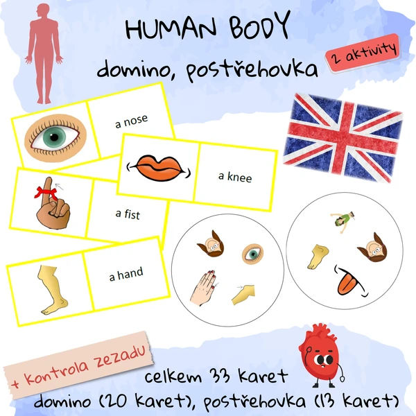 Human body - domino, postřehovka