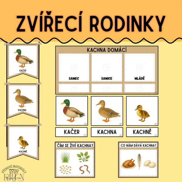 DOMÁCÍ ZVÍŘATA A JEJICH MLÁĎATA