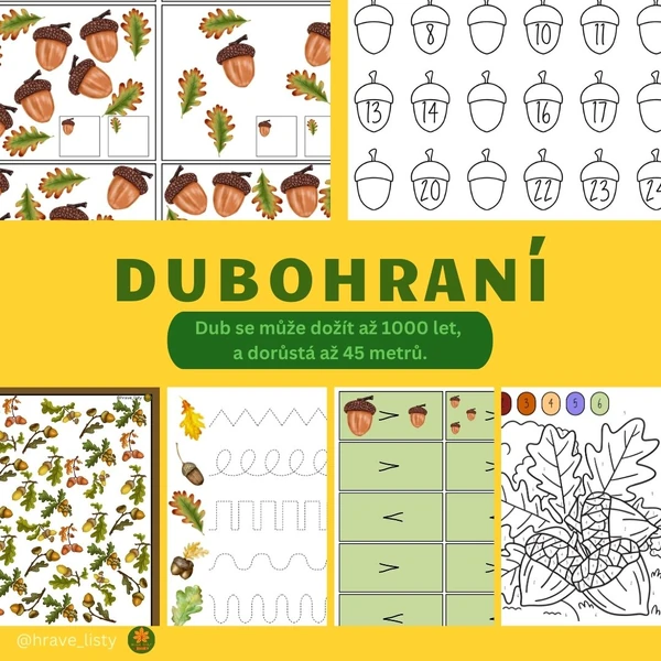 Dubohraní