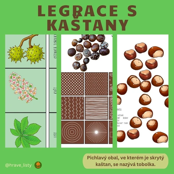 Legrace s kaštany