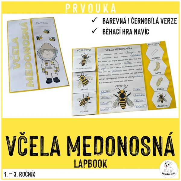 Včela medonosná (lapbook)