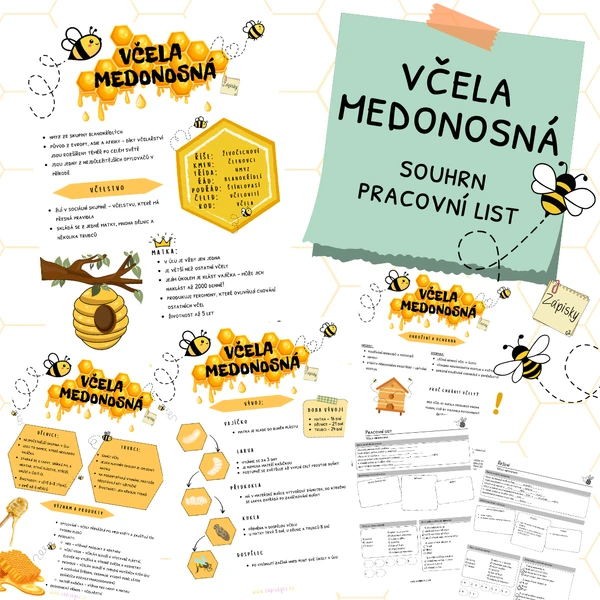 Včela medonosná