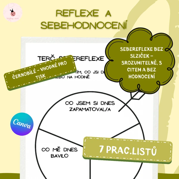 Reflexní a sebehodnotící aktivity