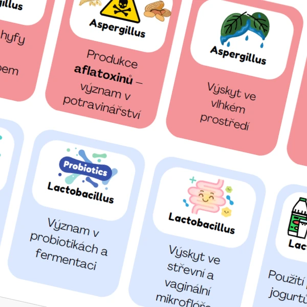 Mikrobiologické kvarteto