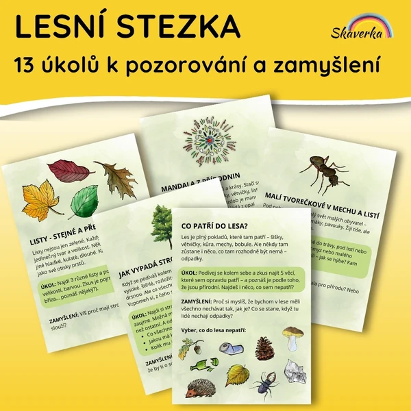 Lesní stezka