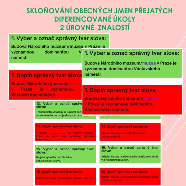 Skloňování obecných jmen přejatých - diferencované úkoly