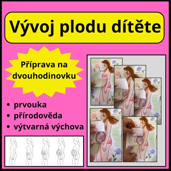 Vývoj plodu dítěte - skládací obrázek k výkladu