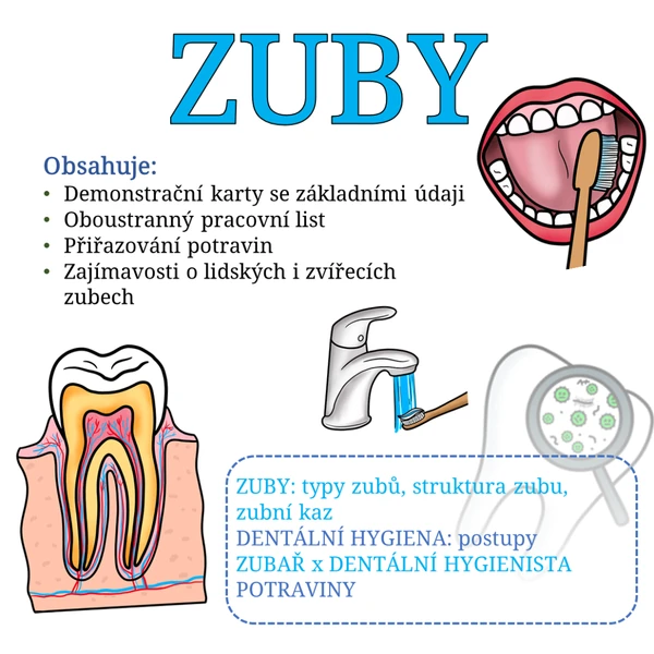 Zuby: soubor materiálů + pracovní list