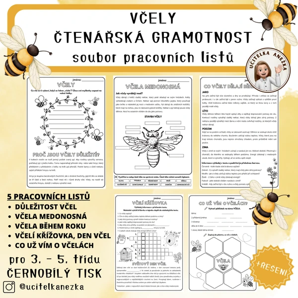 VČELY - ČTENÁŘSKÁ GRAMOTNOST
