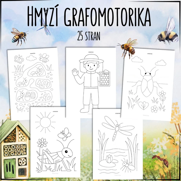 Hmyzí grafomotorika