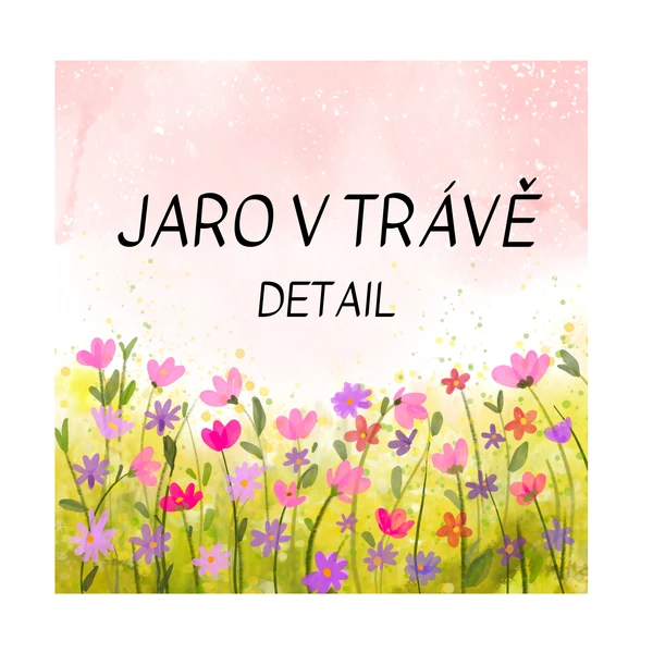 Detail - jaro v trávě