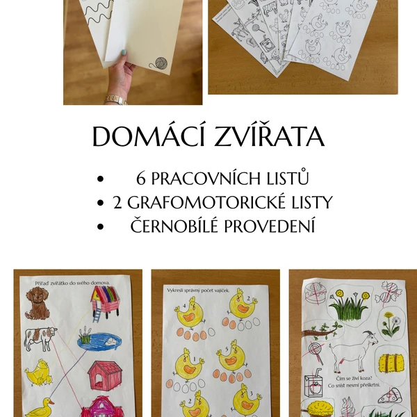 Domácí zvířátka 