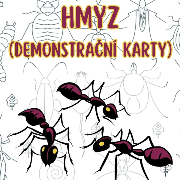 Hmyz - Demonstrační karty 