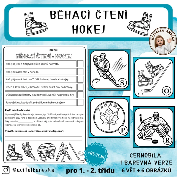 HOKEJ - BĚHACÍ ČTENÍ S POROZUMĚNÍM