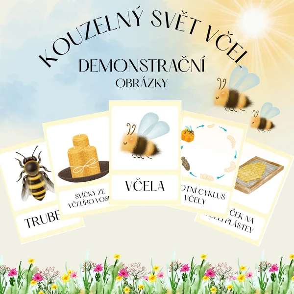 VČELY- Demonstrační obrázky🐝🌸