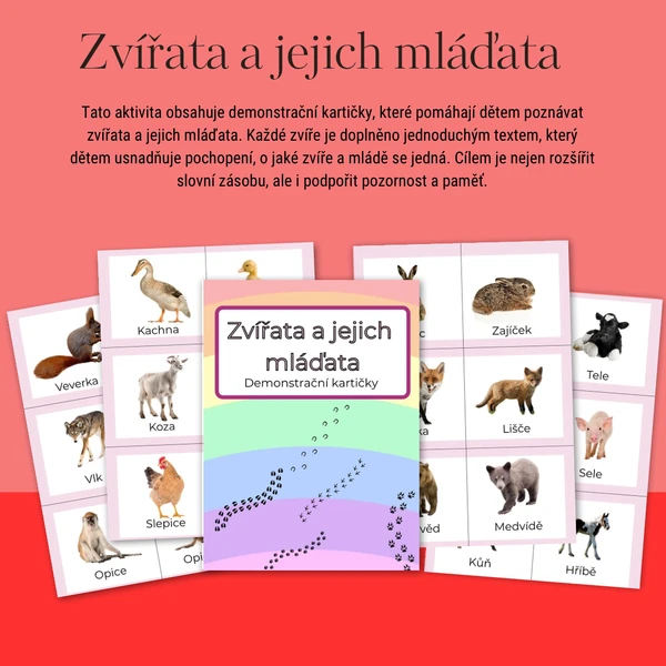 Zvířata a jejich mláďata - demonstrační kartičky 