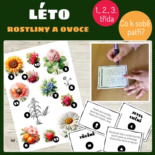 Léto - rostliny a ovoce