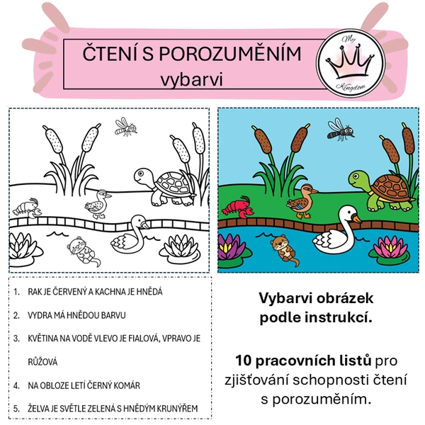 Čtení s porozuměním - vybarvi